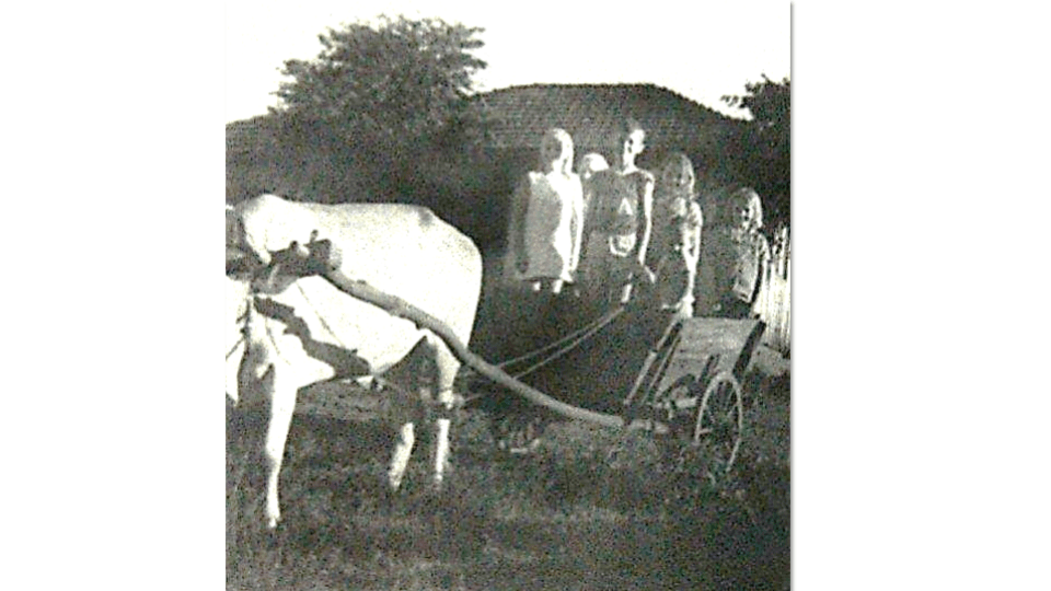 Propriedade rural no interior de Santo Ângelo-RS